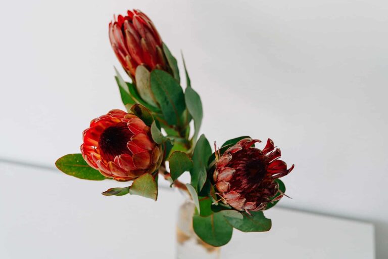 Ciągle zmęczona, ciągle niespełniona – dlaczego tak trudno poczuć się szczęśliwą?